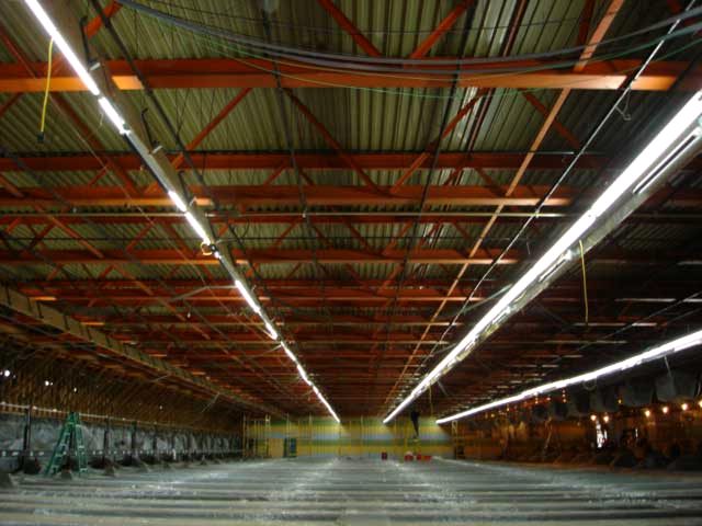 Detailed inspection of mold inside a structure